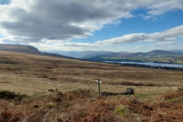 Assessing the Use of GIS to Produce Woodland Creation Historic Environment Opportunity/Targeting Maps