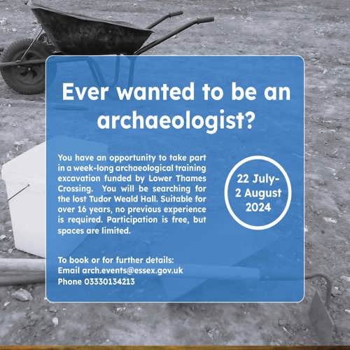 Image for Interested in Archaeology?