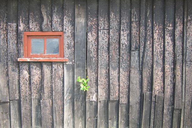 Buildings At Risk Survey