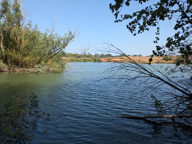 PXL 20260625 Pond B1