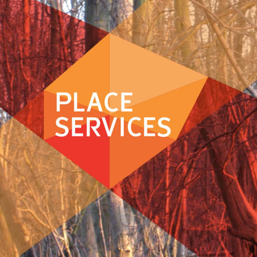 Image of Essex Tree Palette