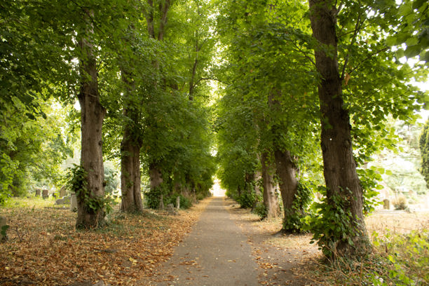 Three Rivers Landscape Sensitivity Assessment (LSA)