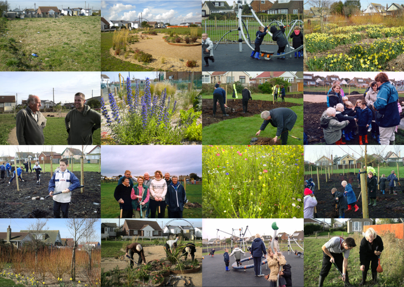 Landscape Community 1