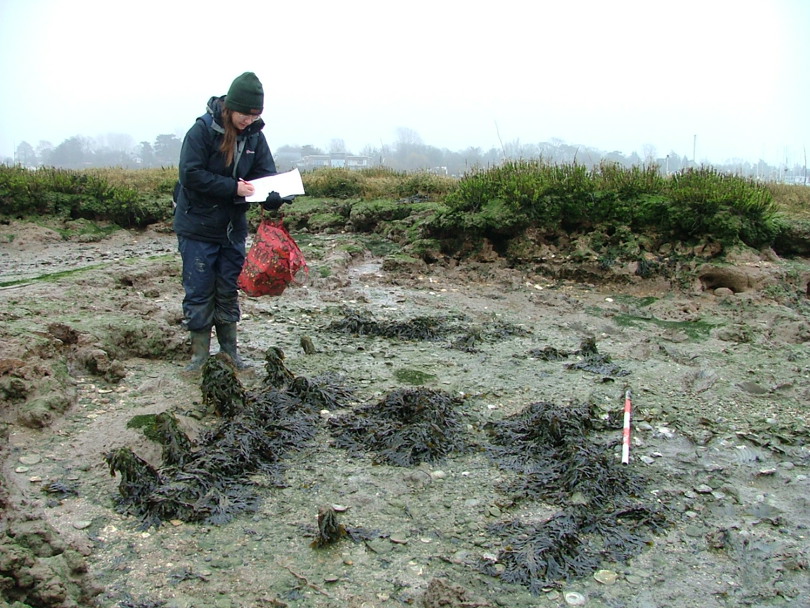 Heritage Assessment 1