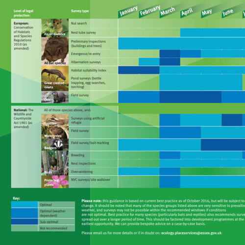 Image of Protected Species Survey Calendar