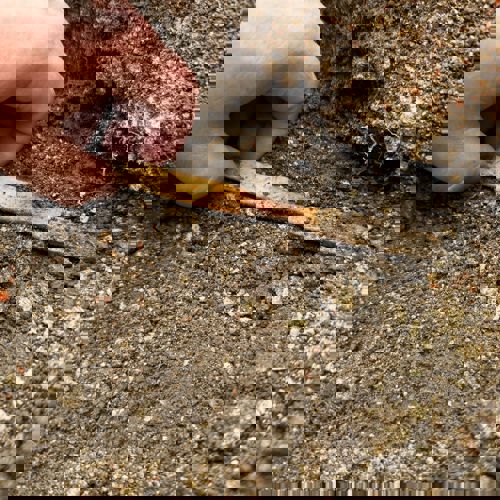 Image for The Weald Hall dig comes to an end