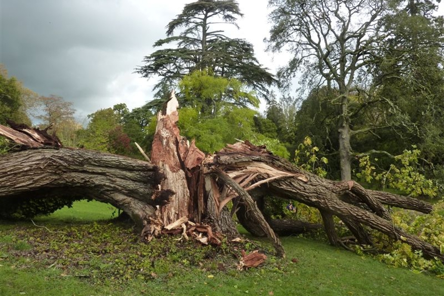 Storm damage