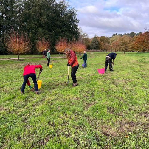 Image for Markshall Estate Volunteer Day