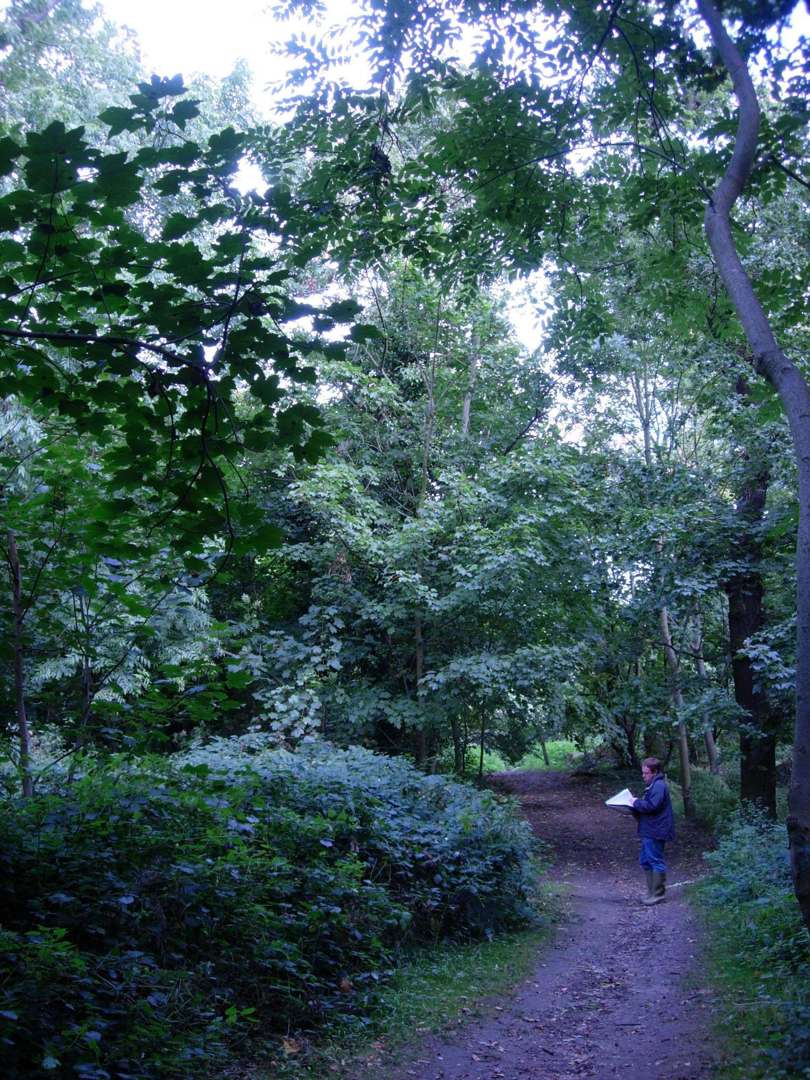 Enviro Constraints 1