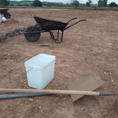 Image for See a live excavation taking place!